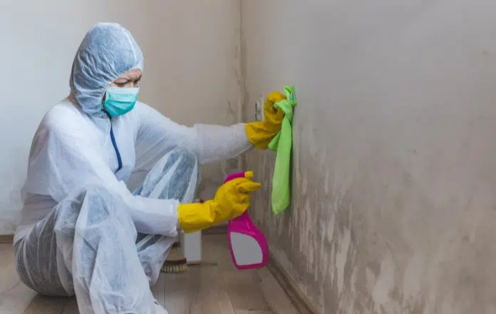 Post-Paint Deep Cleaning
