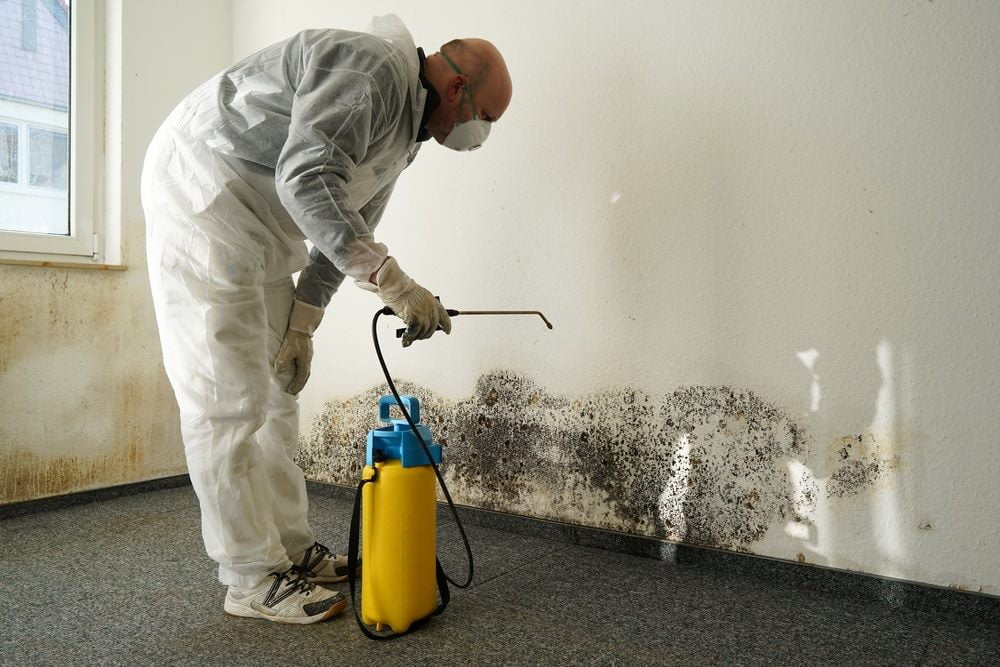 Anti-Mold Treatment