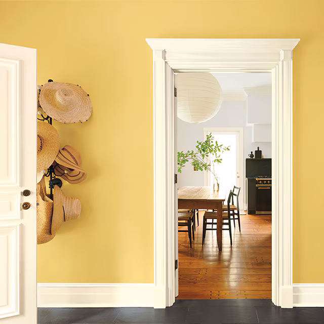 Door & Trim Painting